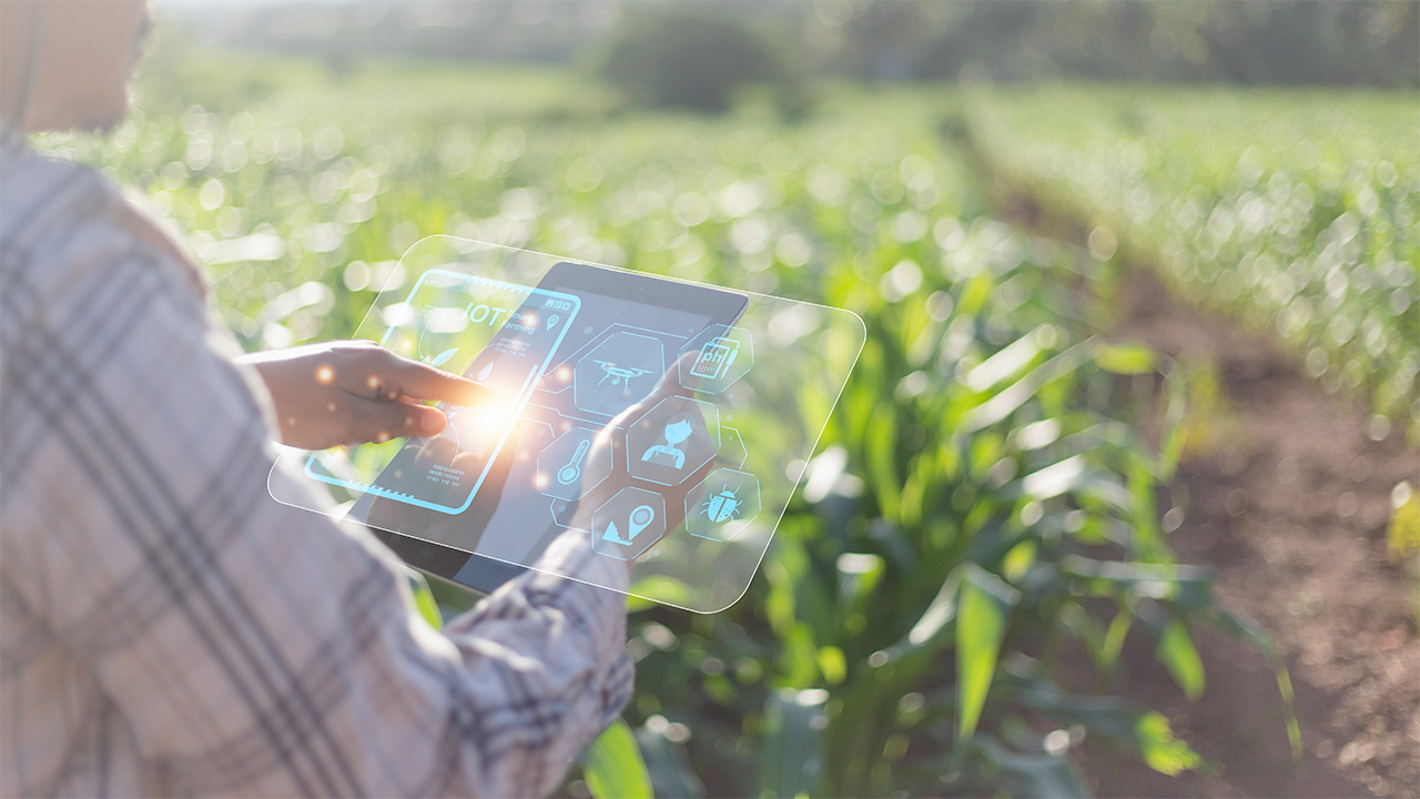 Revolutionizing Agribusiness with AI and ML