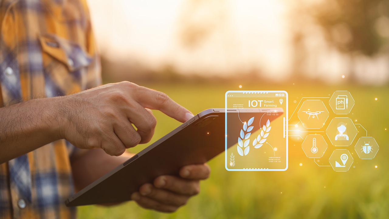 Enhancing Transparency, Traceability, and Efficiency in Agribusiness with Blockchain Technologies