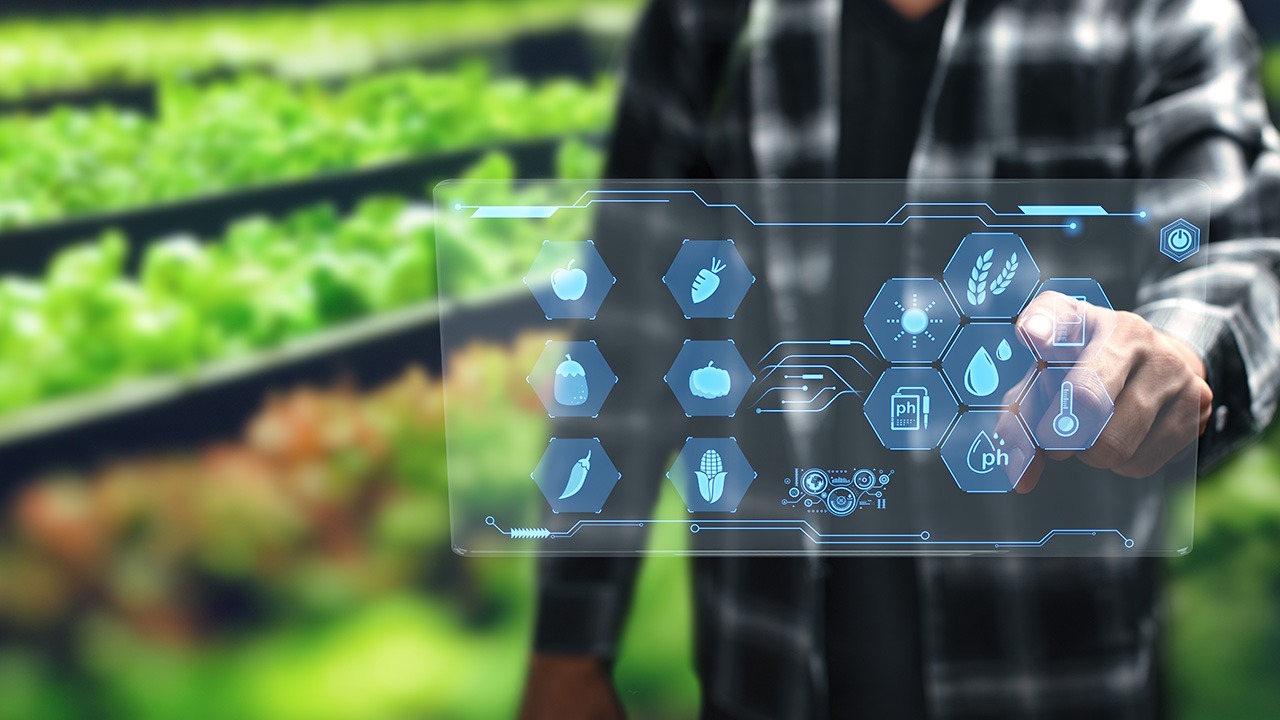 Transforming Food and Beverage Industry with Blockchain: Enhancing Safety, Trust, and Efficiency in the Supply Chain